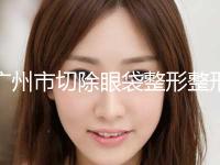 广州市切除眼袋整形整形价格全面了解-广州市切除眼袋整形均价为6010元 